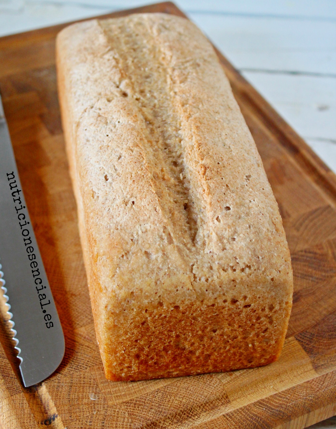 La mejor receta de pan sin gluten en panificadora (Moulinex One)